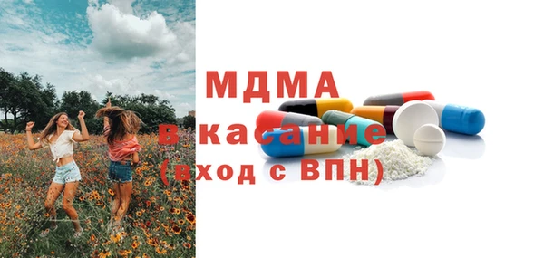 индика Дмитровск
