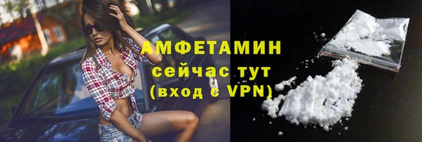индика Дмитровск