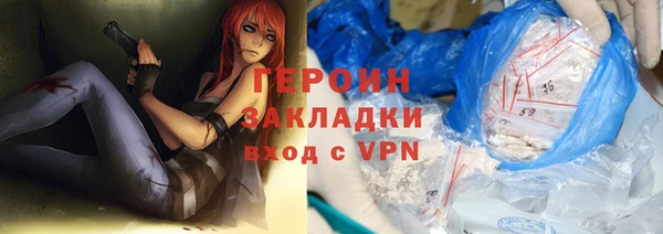 индика Дмитровск