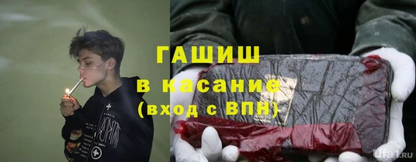 индика Дмитровск