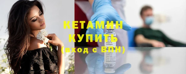 индика Дмитровск