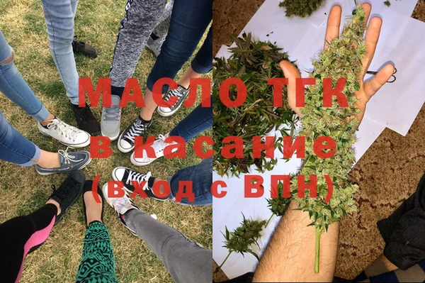 индика Дмитровск