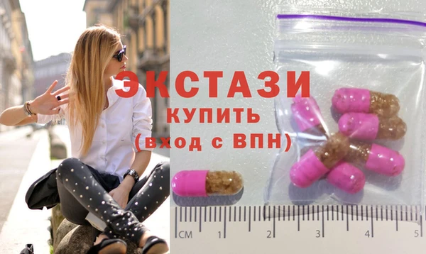 индика Дмитровск