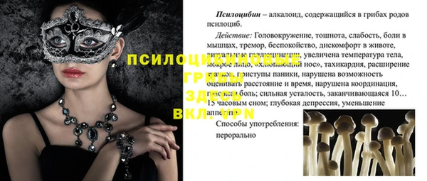 spice Дмитриев