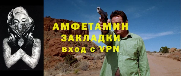 индика Дмитровск