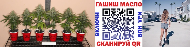 маркетплейс формула  Спасск-Дальний  ТГК Wax  ОМГ ОМГ  